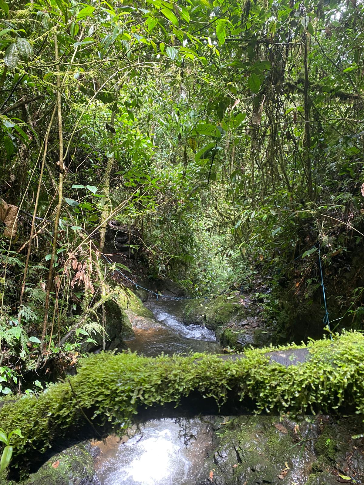 Tours Cascadas el Duende