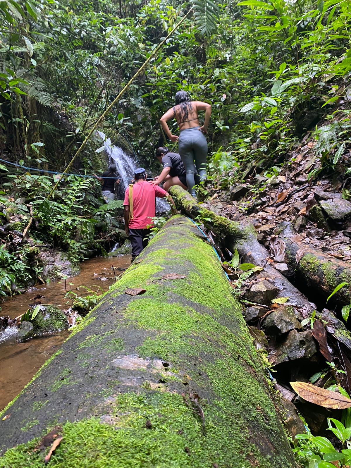 Tours Cascadas el Duende