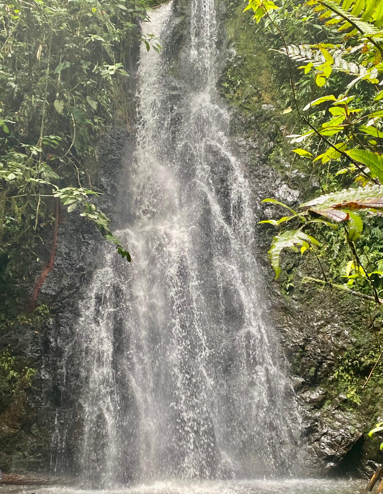 Tours Cascadas el Duende